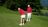 Thumbnail 16_9_klein