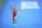 TRIATHLON, FRAUEN, OLYMPIA TOKYO 2021, OLYMPIA TOKIO 2021, TOKYO 2020, TOKIO 2020, OLYMPISCHE SOMMERSPIELE, OLYMPISCHE SPIELE, TOKIO2020, TOKIO2021, TOKYO2020, TOKYO2021,
